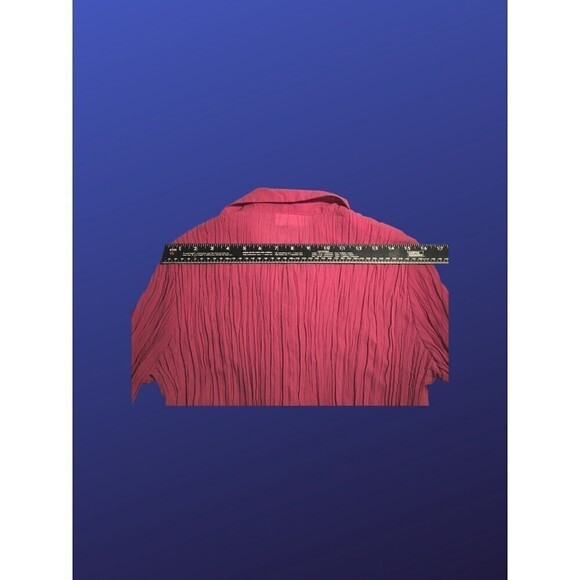 CHADWICK’S Semi-sheer/Lace-Trim/Ruffled REGENCY Blouse, MAUVE, Size 16, NWOT - Picture 7 of 8